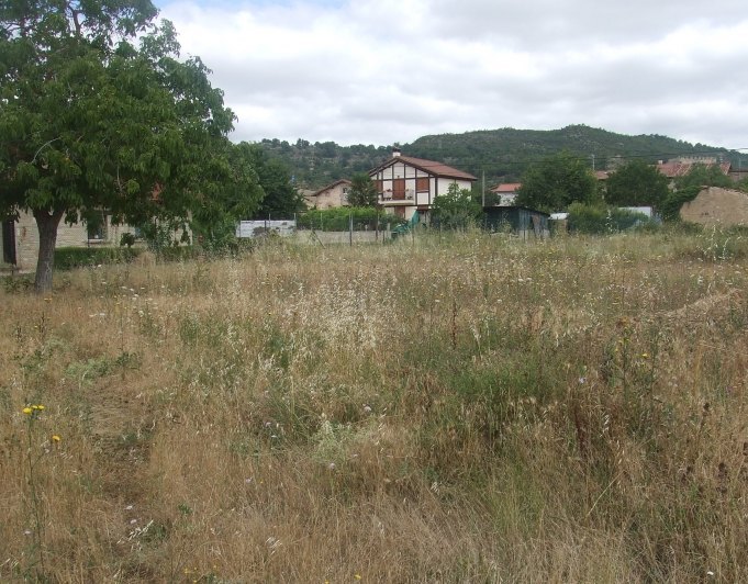 Antiguo pajar con 1.600 m2 de terreno en Fontecha