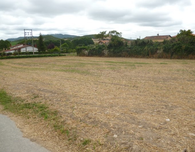 Finca en Ribaguda