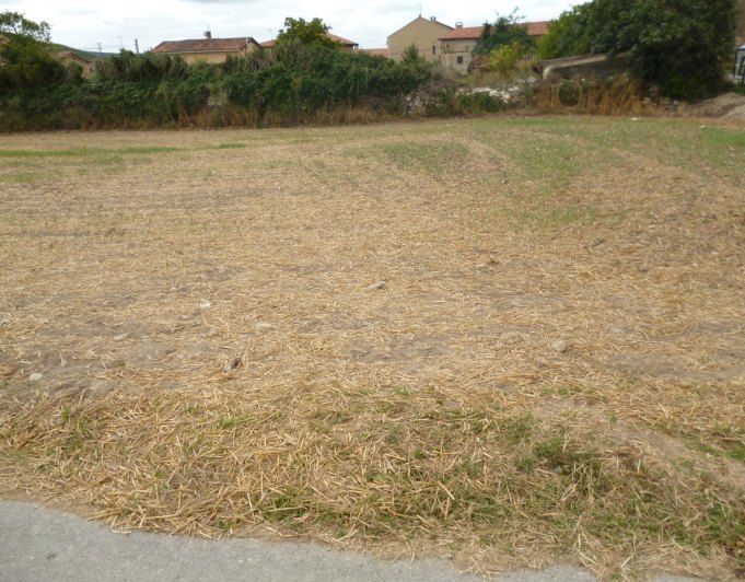Finca en Ribaguda