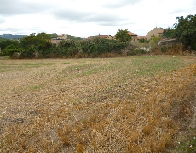 Finca en Ribaguda