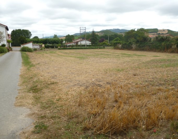 Finca en Ribaguda