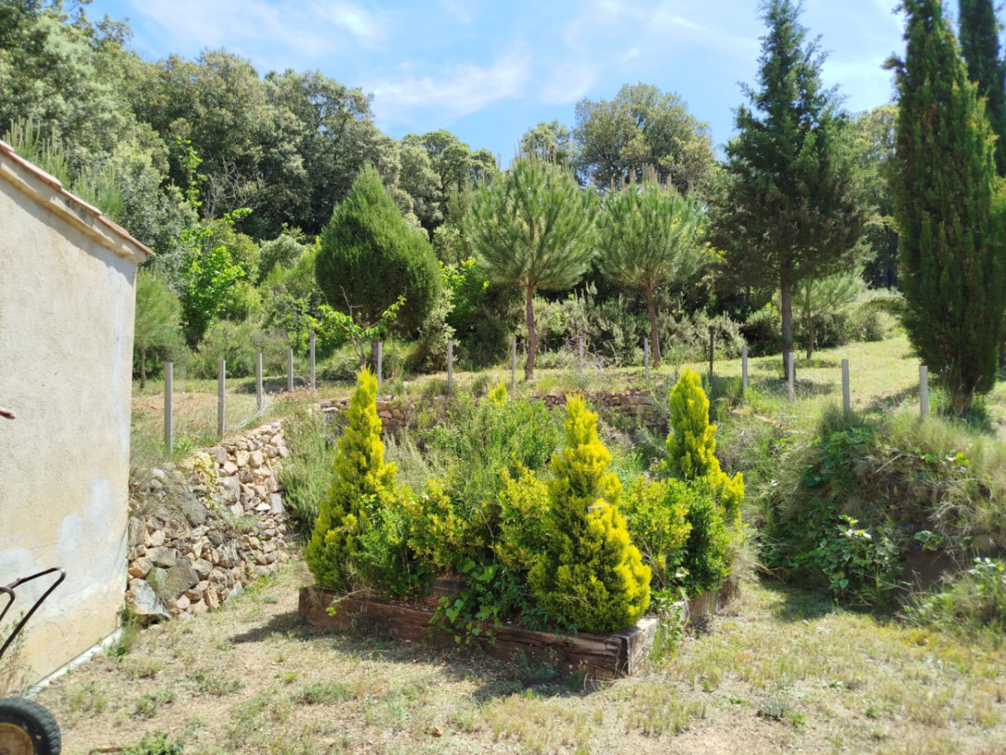 COUNTRY HOUSE WITH 6,000 METERS OF LAND
