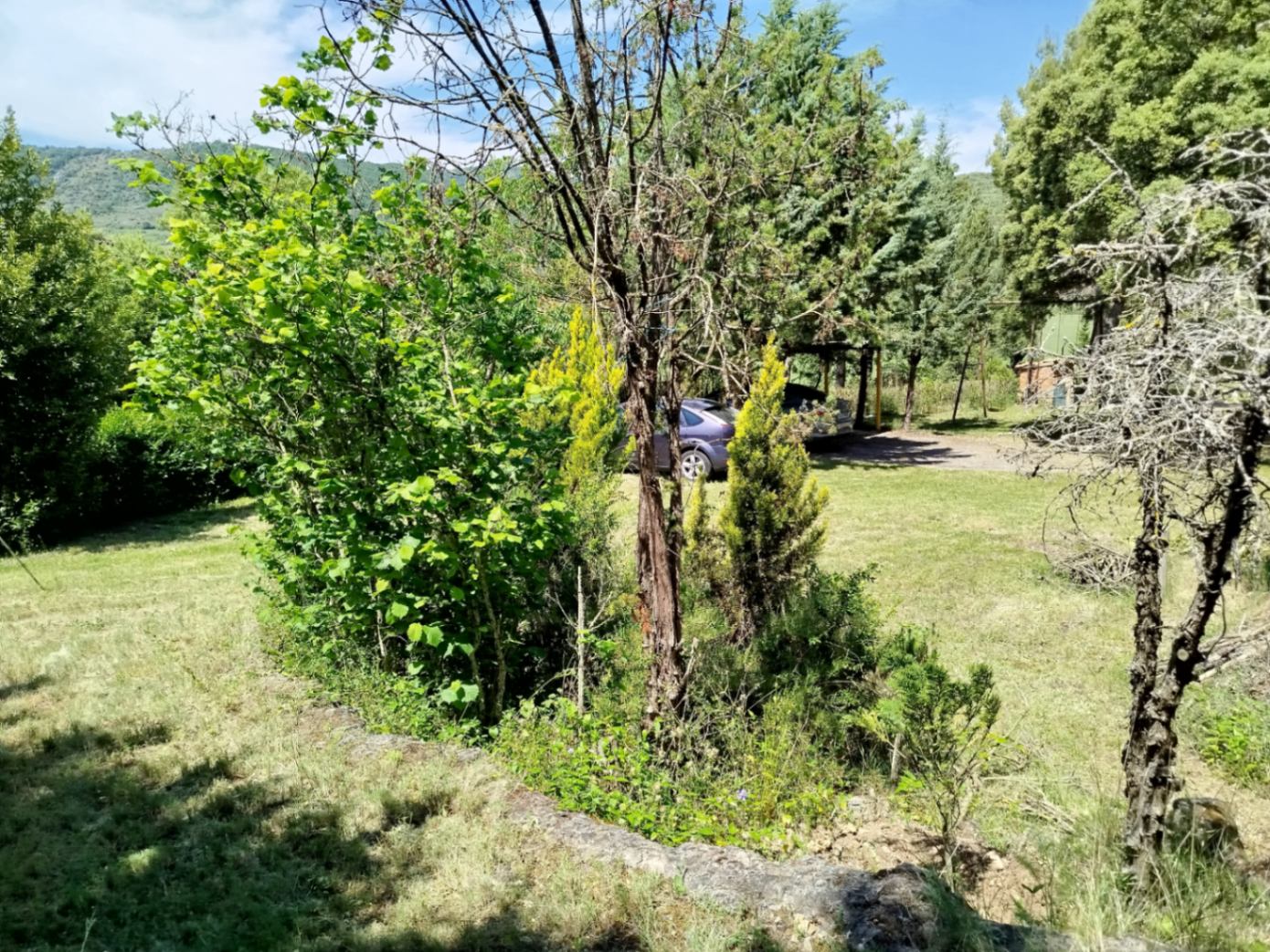 COUNTRY HOUSE WITH 6,000 METERS OF LAND