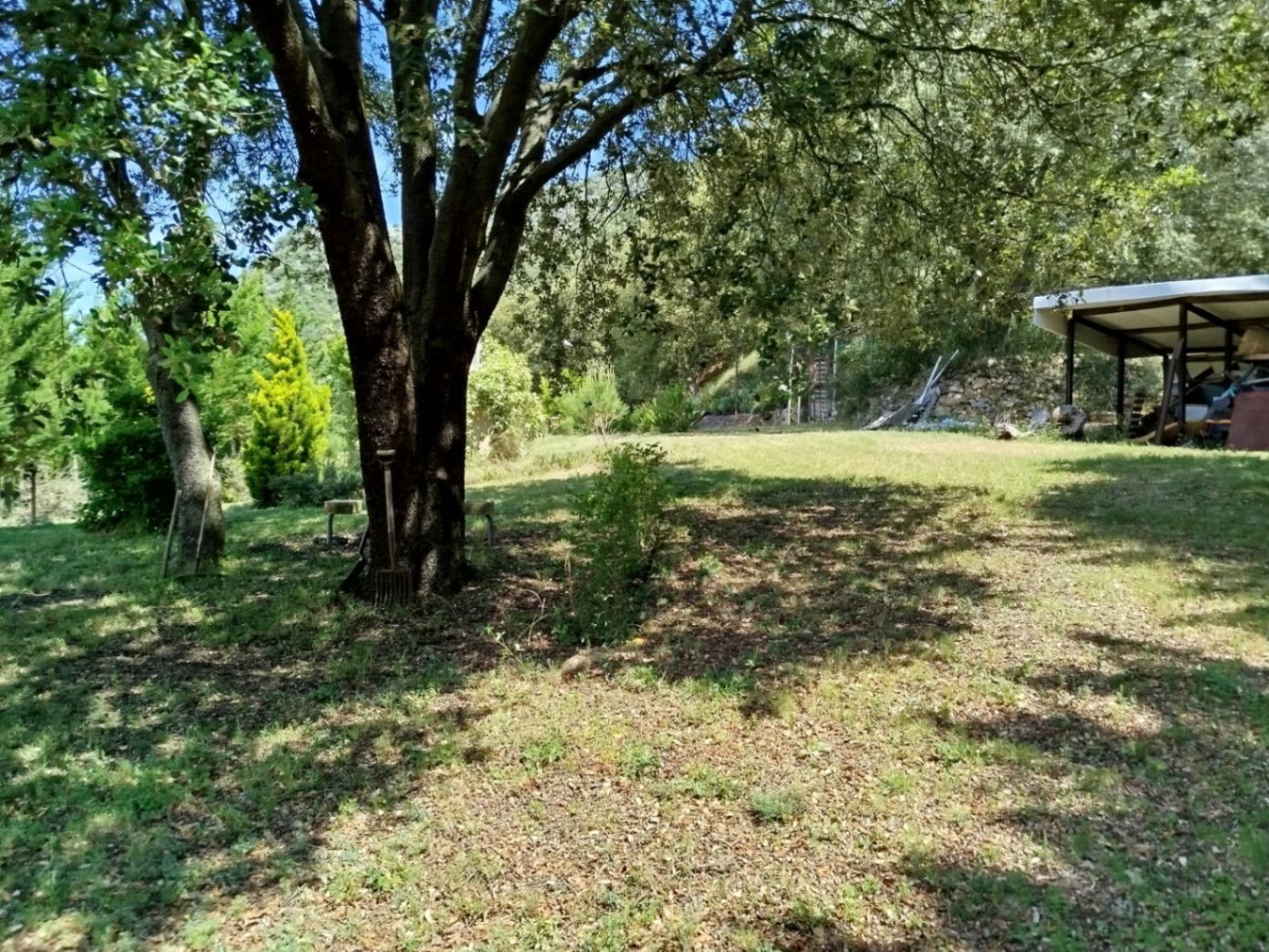 COUNTRY HOUSE WITH 6,000 METERS OF LAND