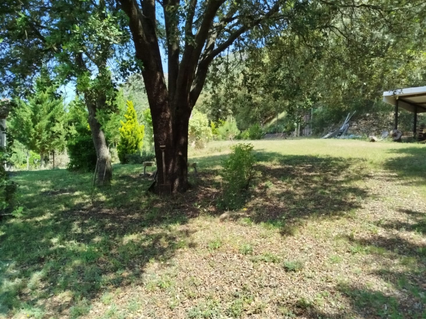 COUNTRY HOUSE WITH 6,000 METERS OF LAND
