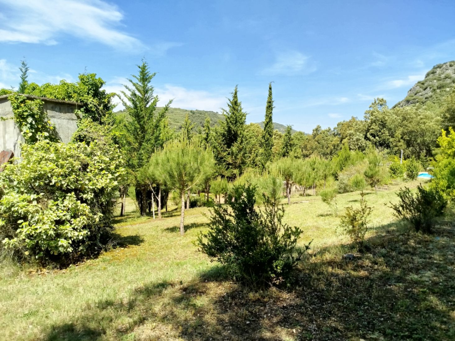 COUNTRY HOUSE WITH 6,000 METERS OF LAND