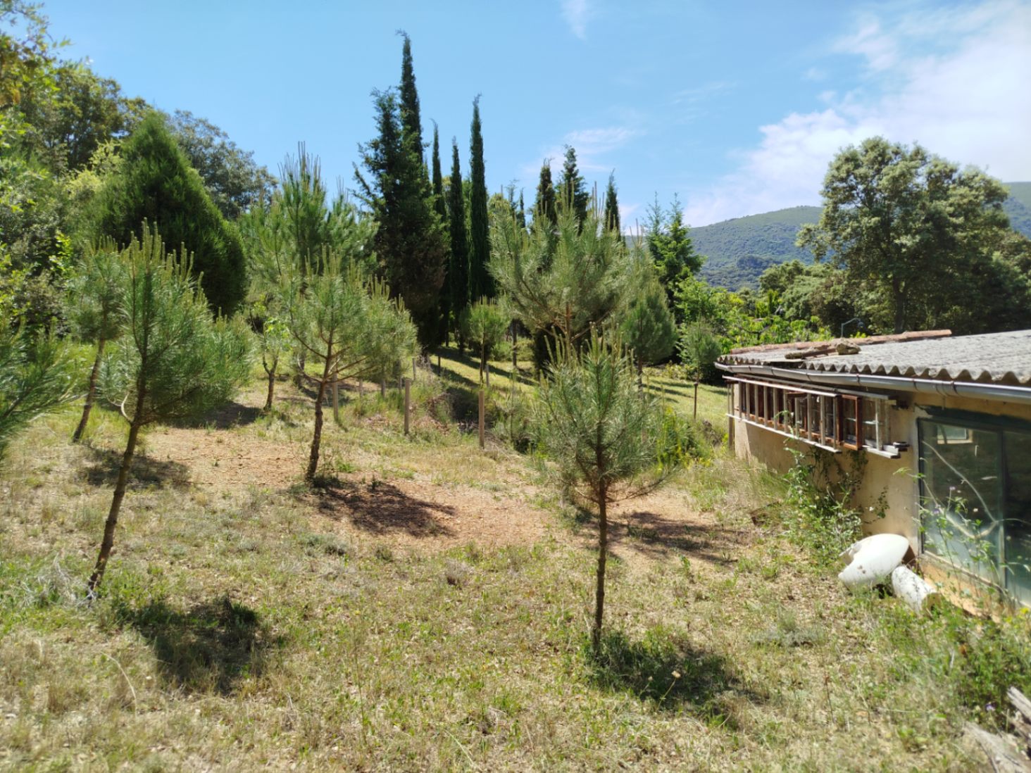 COUNTRY HOUSE WITH 6,000 METERS OF LAND
