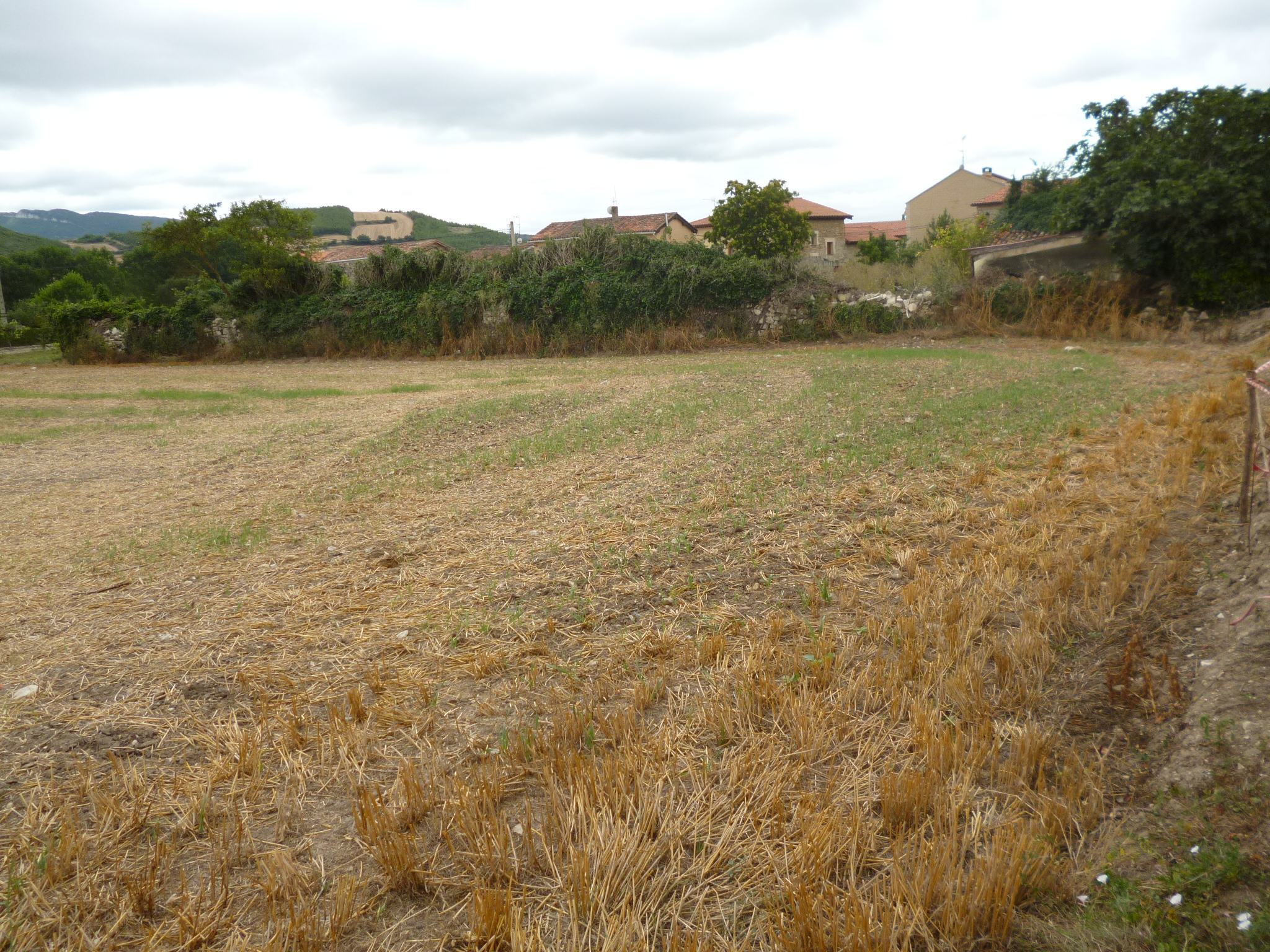 Finca enRibaguda