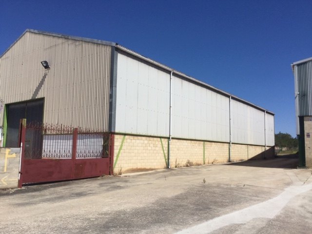 Pabellón de 2.000 metros con parcela de 6.000 metros en Carretera N-1