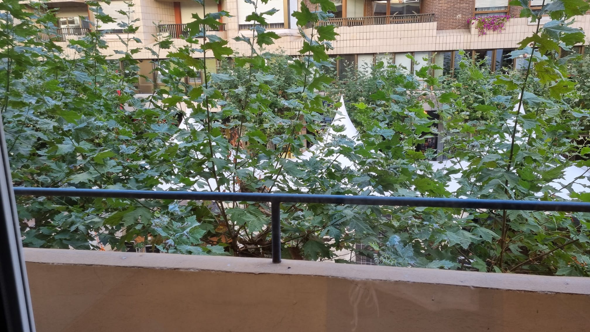 Alquiler Despachos/ oficinas