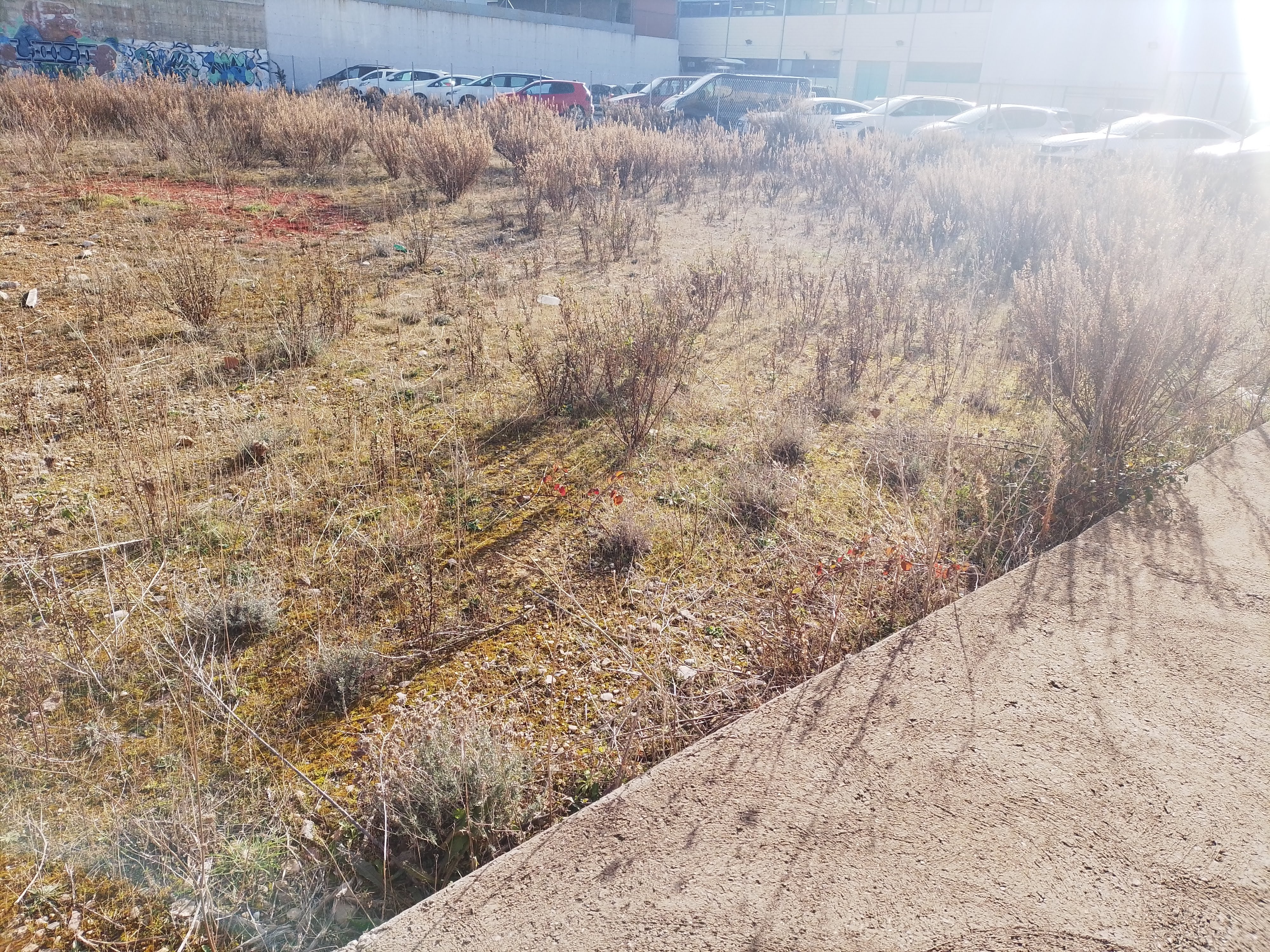 Alquiler de terreno en el poligono de Bayas